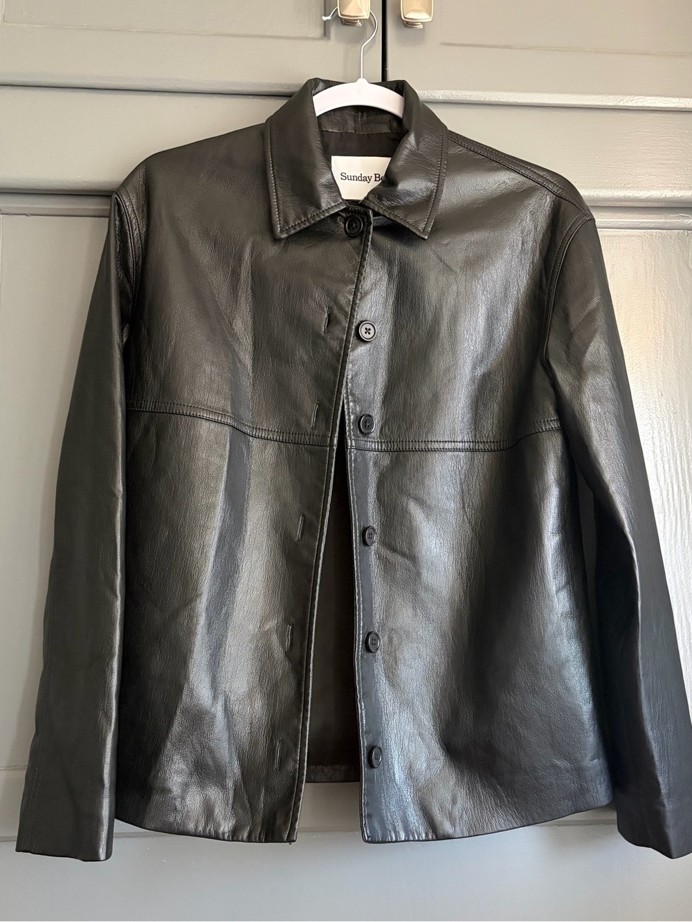 Aritzia Sunday Best Faux Leather Jacket